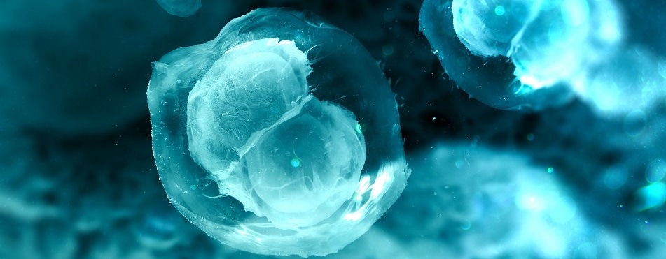 Health care & Life Sciences